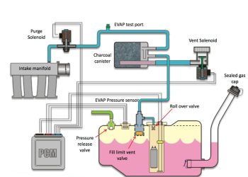 Canister Purge Solenoid là gì? 5 Dấu hiệu van EVAP lỗi