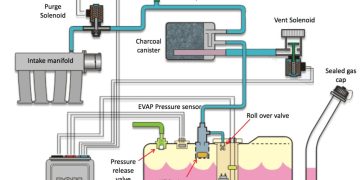 Canister Purge Solenoid là gì? 5 Dấu hiệu van EVAP lỗi