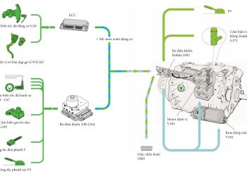 Hệ dẫn động bốn bánh với khớp nối Haldex trên xe Audi và Volkswagen: Hệ thống điện – điện tử