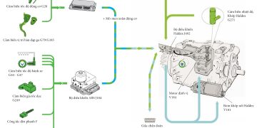 Hệ dẫn động bốn bánh với khớp nối Haldex trên xe Audi và Volkswagen: Hệ thống điện – điện tử