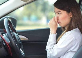 Mùi xe mới là gì? Có nguy hiểm không?