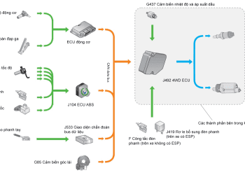 Tìm hiểu 4MOTION với Khớp nối Haldex trên xe Volkswagen – Phần 4: Các thành phần điện và điện tử