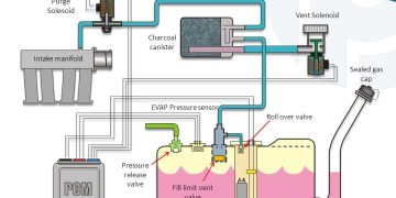 Hệ thống kiểm soát phát thải bay hơi (EVAP)