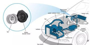 Blower Motor – Động cơ quạt gió điều hòa