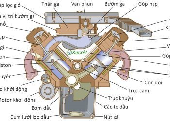 Gasoline engine – Động cơ xăng